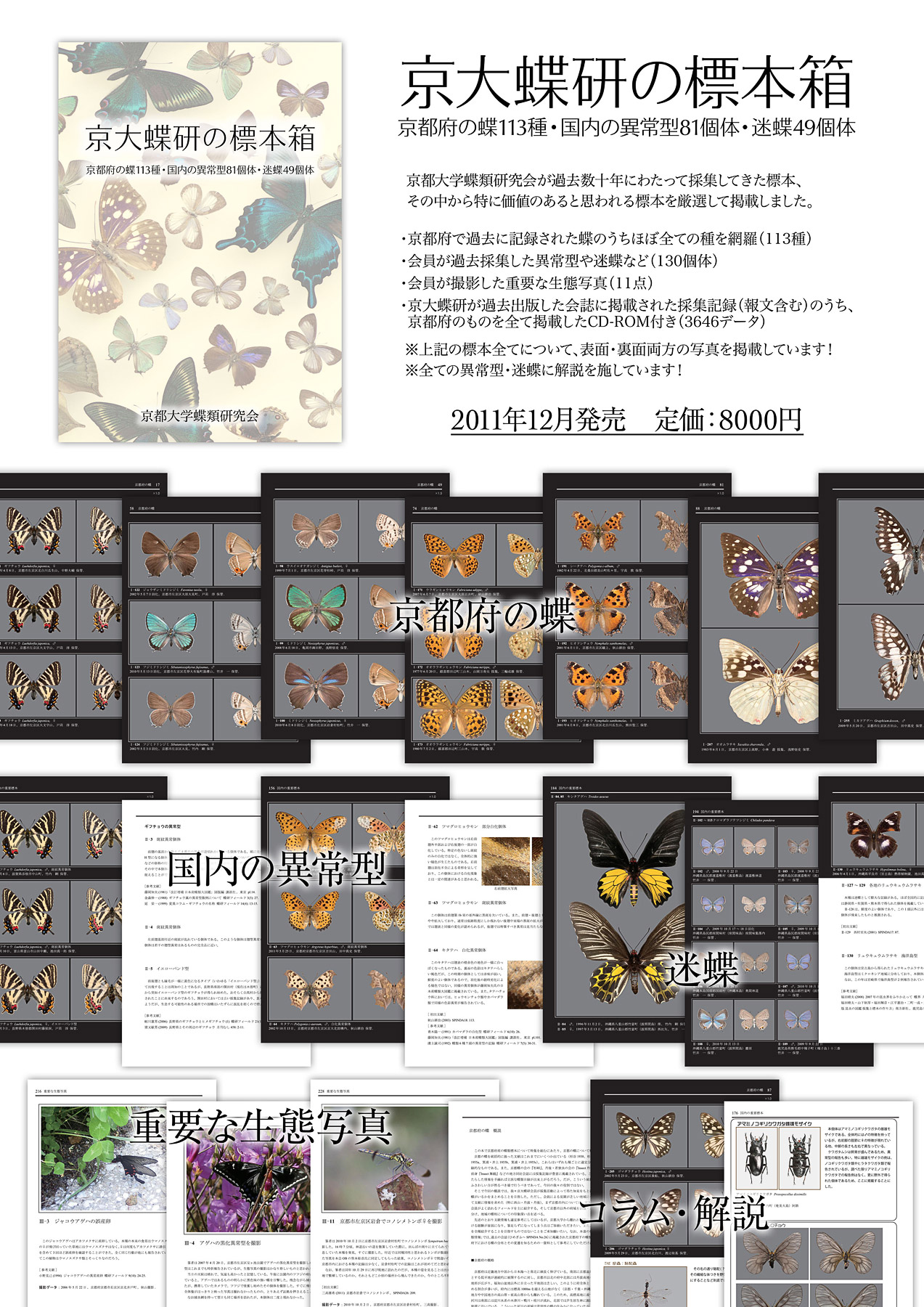 京都府の蝶と異常型・迷蝶の本「京大蝶研の標本箱」: レピ屋 京都府の蝶と異常型・迷蝶の本「京大蝶研の標本箱」: レピ屋