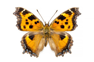 20150314_01.jpg