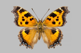 20150314_02.jpg