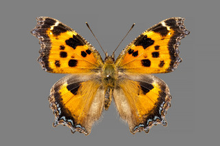 20150314_03.jpg