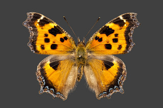 20150314_04.jpg