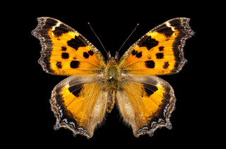 20150314_05.jpg