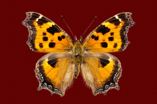 20150314_06.jpg