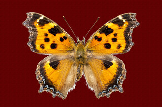 20150314_07.jpg